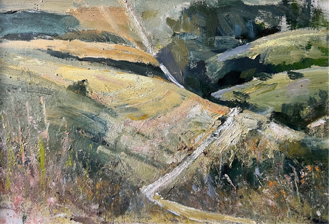 South Downs Way - Michael Harrison PRBA